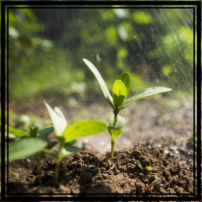 PRESERVING THE ENVIRONMENT (Skills 1)